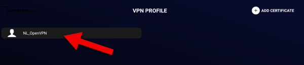 connect vpn server