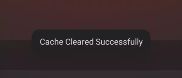 cache cleared successfully