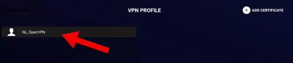 connect vpn server